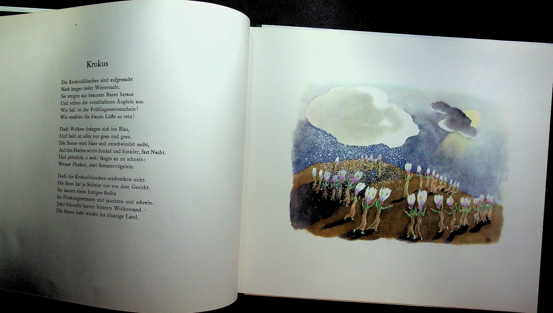 Bücher: Ernst Kreidolf Alpenblumenmärchen – Gebraucht aus Reitnau von zao_6stq 2