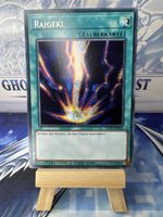 Yu-Gi-Oh! Raigeki / TN19 / Secret rare 🇩🇪