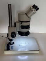 Stereomikroskop / Mikroskop mit 6–50× Vergrösserung