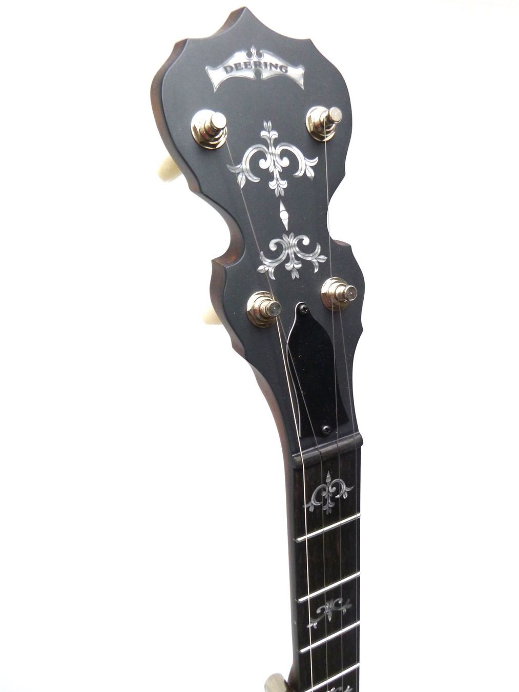 Musikinstrumente: DEERING Sierra Maple – Neu und originalverpackt aus Schaffhausen von Saitensprung_SH 3