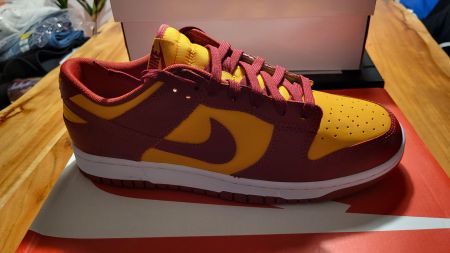 Nike dunk low retro