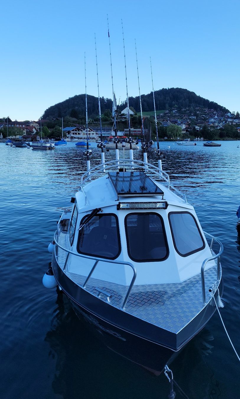 Bateaux: Viking Aluboot – D'occasion à Thun par M.Thun 3