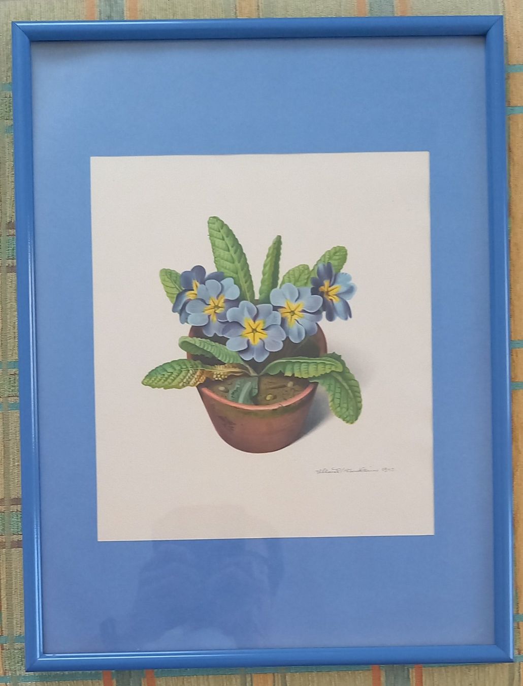 Grafica & Litografie: Niklaus Stoecklin: Blumenbild – Nuovo (secondo la descrizione) da Birsfelden venduto da Sakurajima