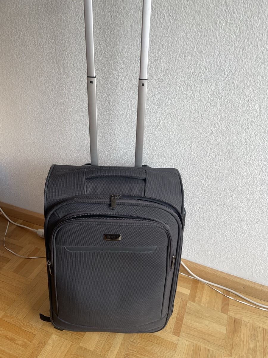 Altro in Aeronautica: Robuster Reisekoffer Uccelli Globus. – Usato da Basel venduto da Kamberly 5