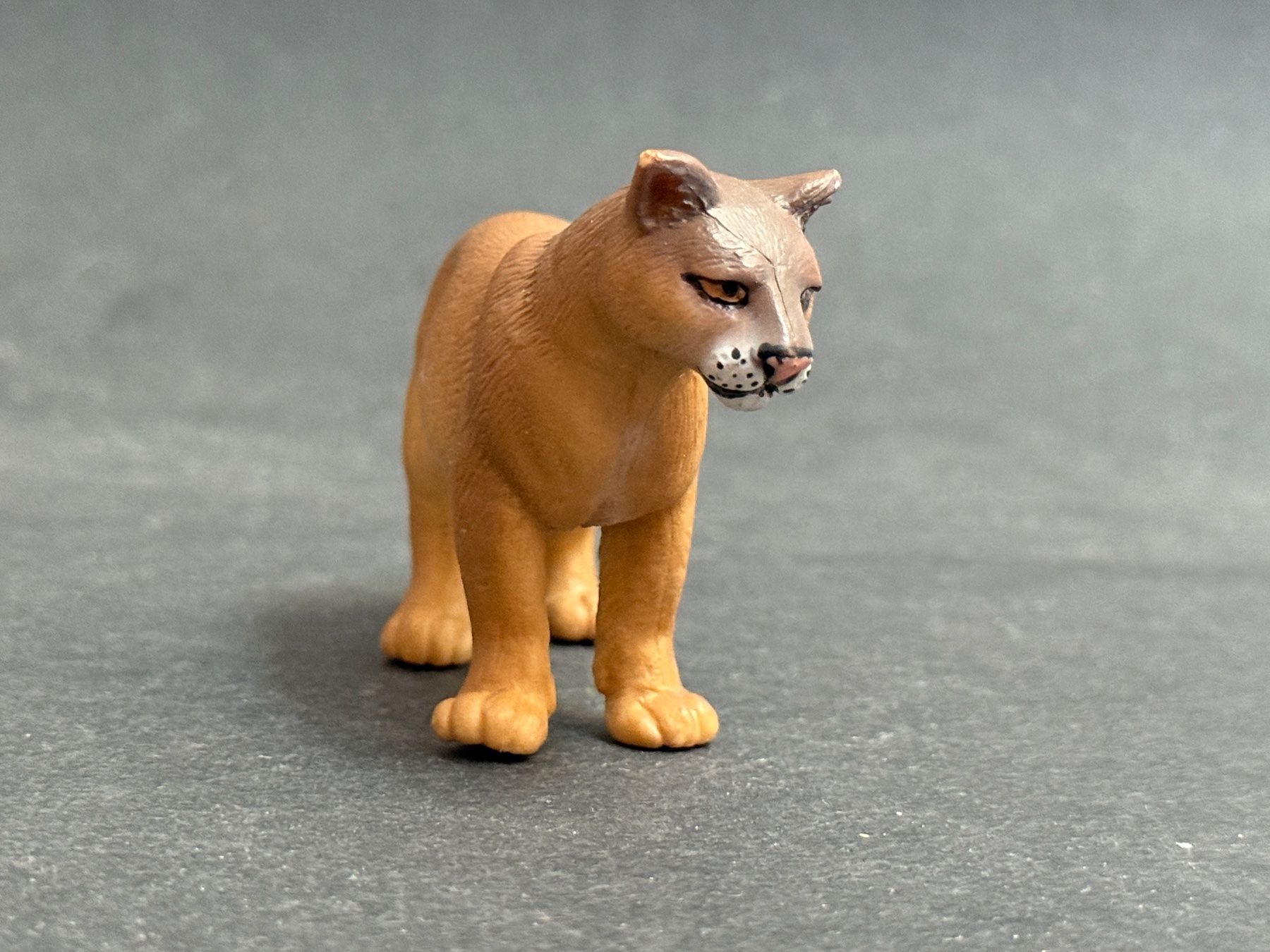 Schleich Figuren: Schleich Puma 14164 – Gebraucht aus Ennetbaden von mapa05 6