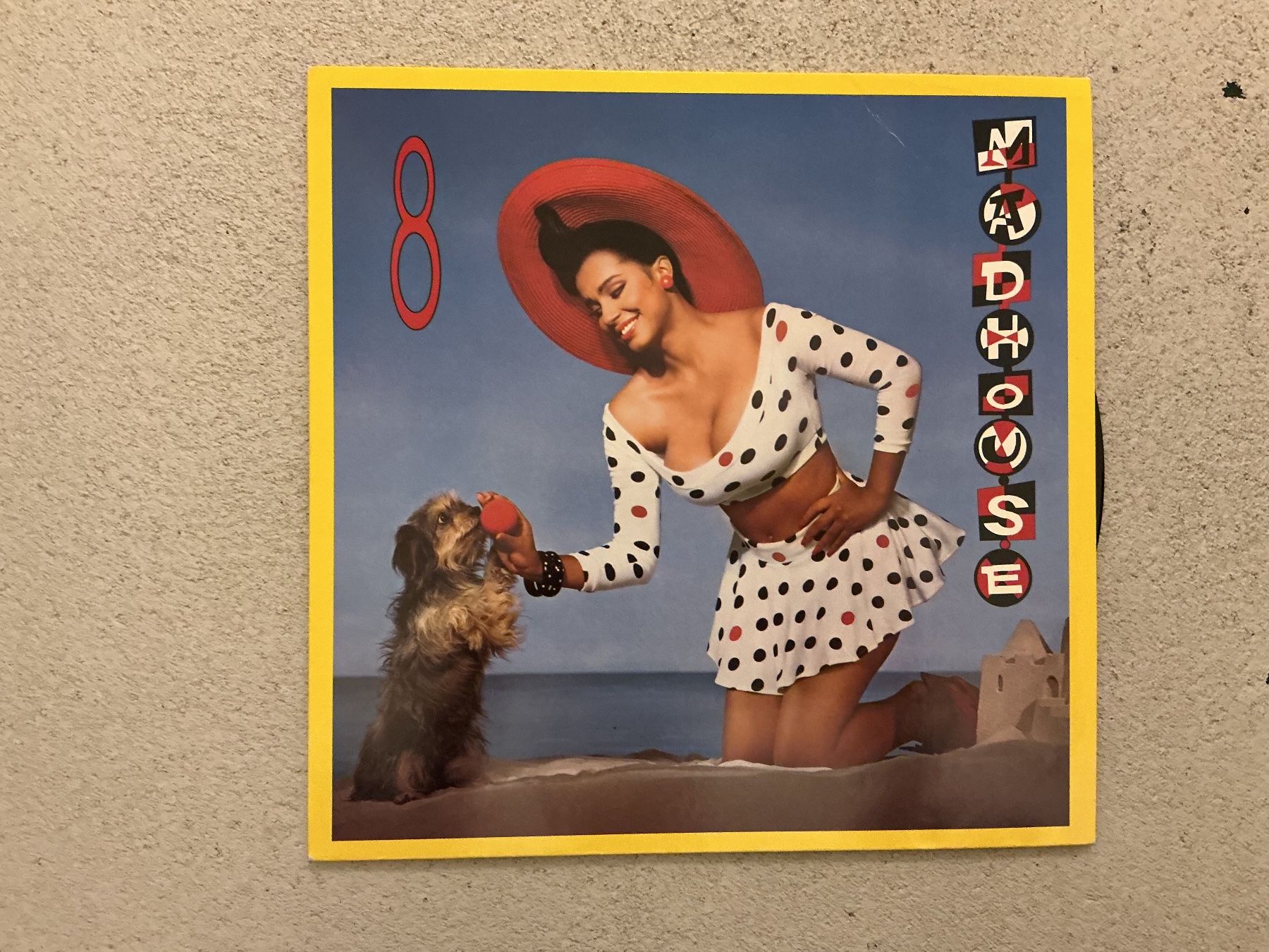Schallplatten: Madhouse LP - 8 – Gebraucht aus Winterthur von Tumko_7_Vinyl
