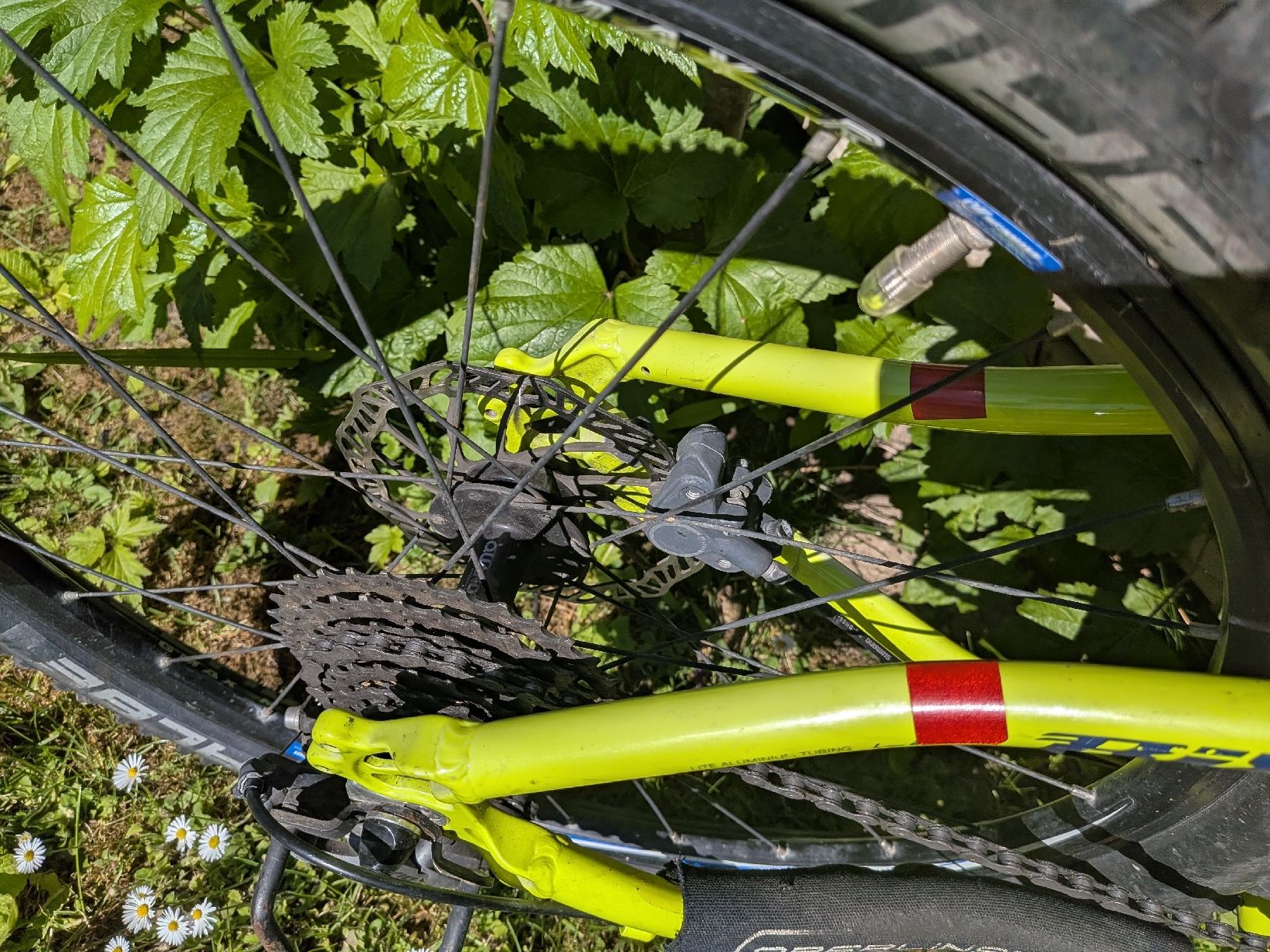 Bixs Biciclette: Mountainbike Bixs – Usato da Pfungen venduto da andreas.luffare 2