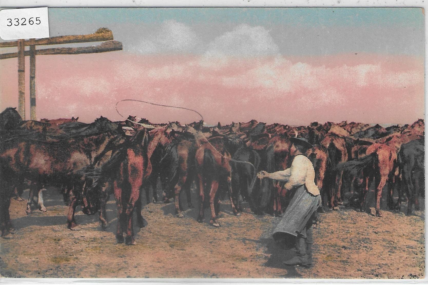 Cartoline postali: Pferdehirte, Lasso werfend - Ungarn - Litho – Usato da Ettingen venduto da Kartenplanet