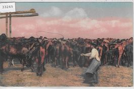 Pferdehirte, Lasso werfend - Ungarn - Litho