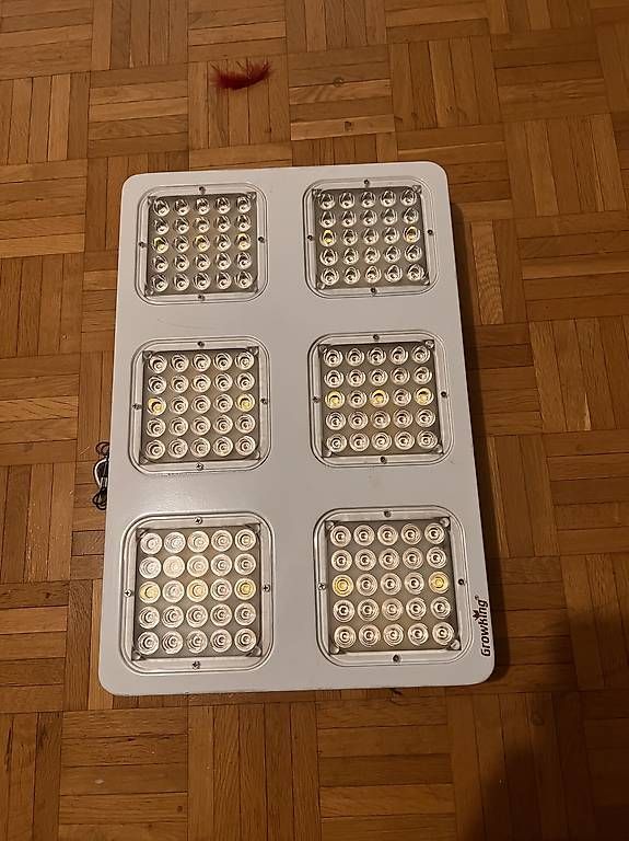 Lampes: LED-Pflanzenlampen – D'occasion à Zürich par smartsecond