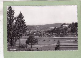 Laupen 1952