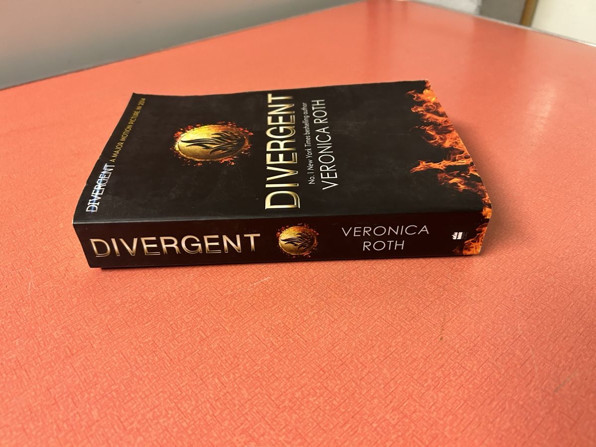 Libri: Divergent - Veronica Roth Jugendbuch Top Zustand! – Usato da Lanzenhäusern venduto da vic63 1