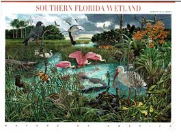 Southern Florida Wetland 1 KB **