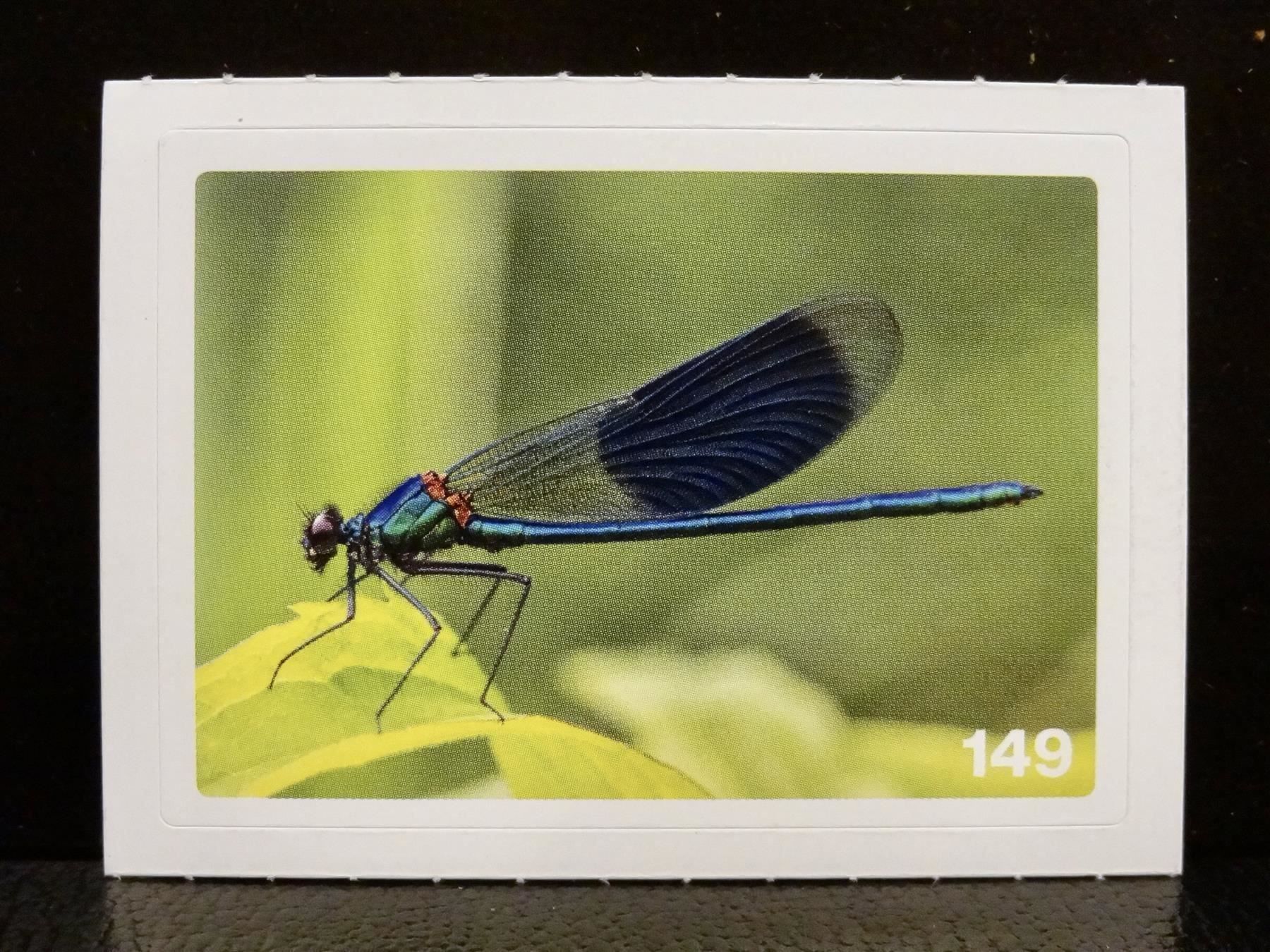 Migros Carte collezionabili: MIGROS MANIA Nature Detectives Nr. 149 – Usato da Kerzers venduto da zimmergruen