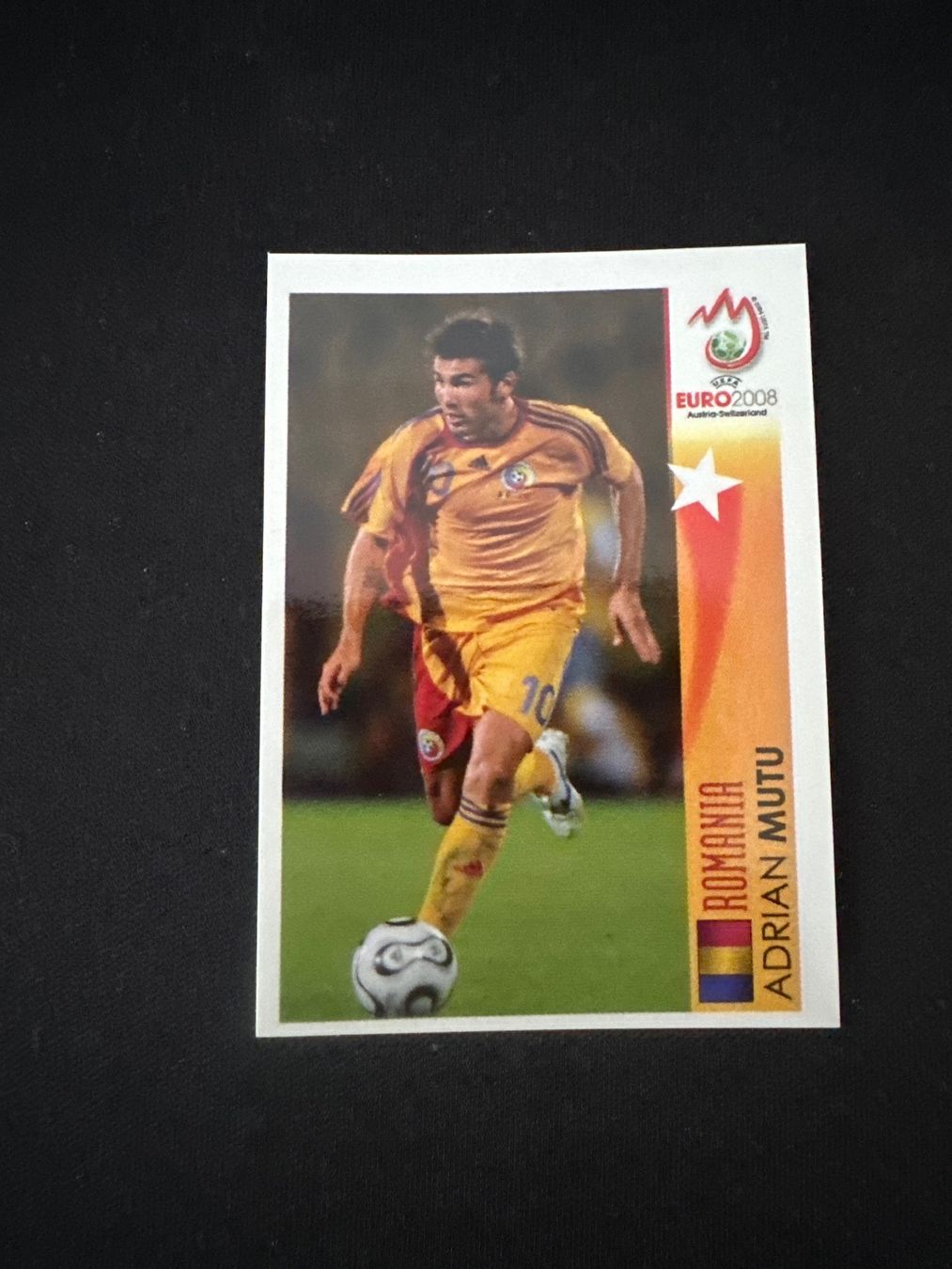 Panini Carte collezionabili: Panini UEFA EM 2008 Sticker - Nr. 511 – Usato da Sulz AG venduto da DealWerk