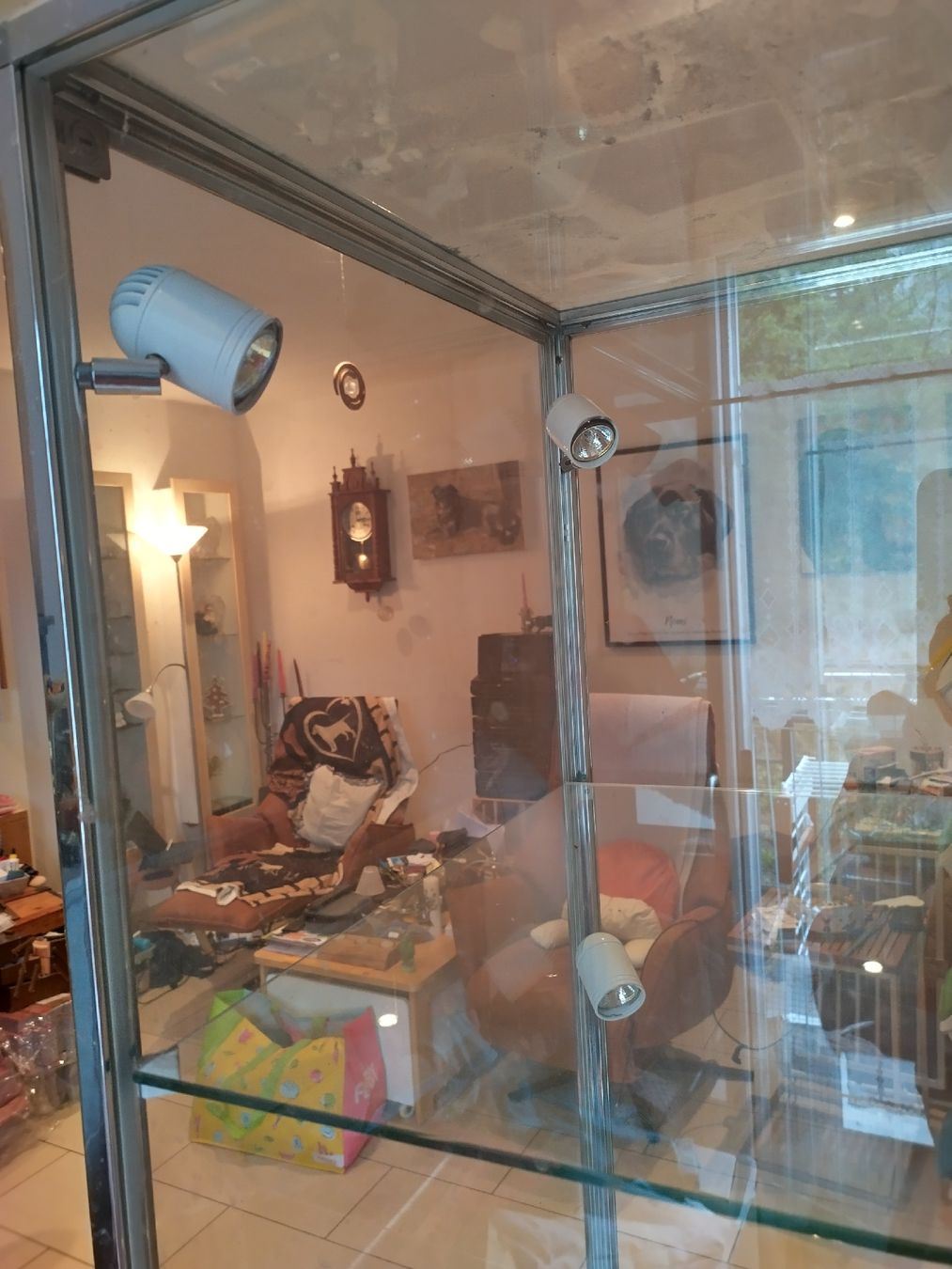 Vitrinen: Glasvitrine zu verkaufen  – Gebraucht aus Naters von sch_f25j 2