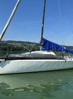 Möwenabwehr / Vogelabwehr / Vogelschutz Boot