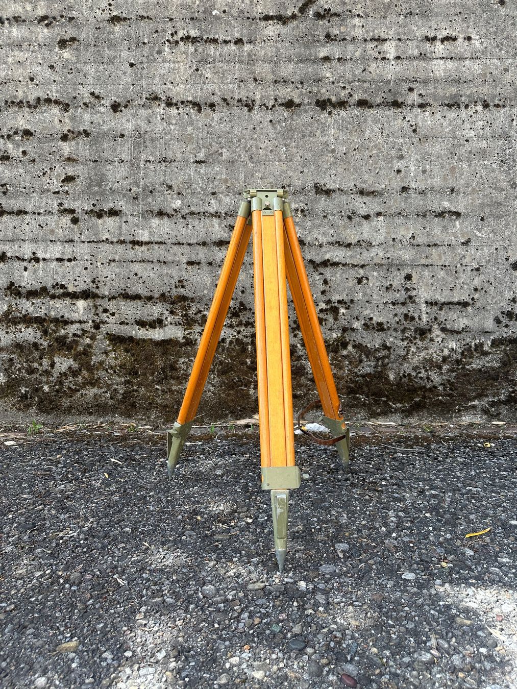 Treppiedi & Teste: Holz-Stativ / Schweizer Armee IIb – Usato da Zürich venduto da frauflufelberg