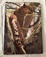 Buch Zoo Ostafrika