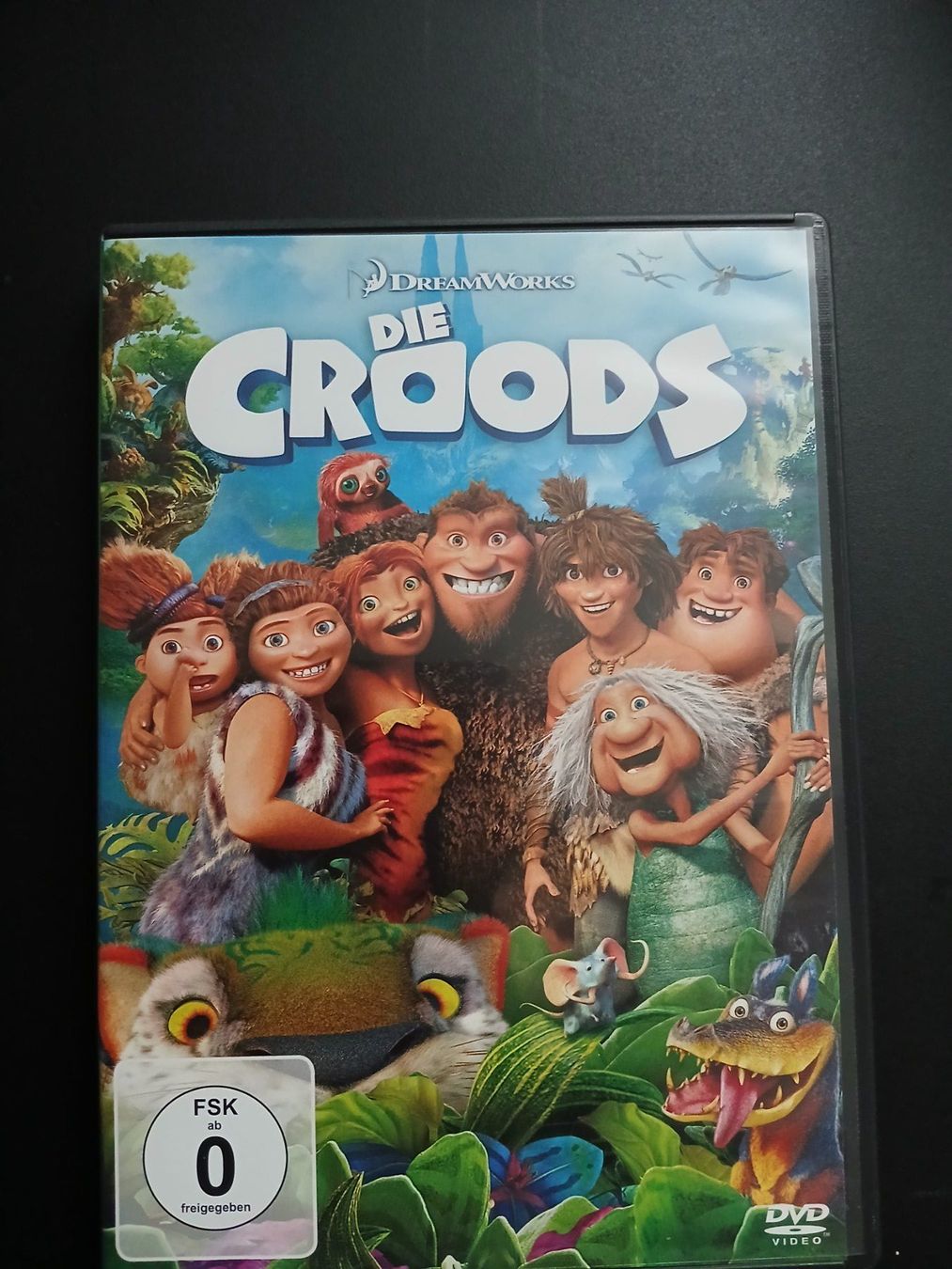 Tutti i DVDs: DVD Die Croods – Usato da Montlingen venduto da Mabesi