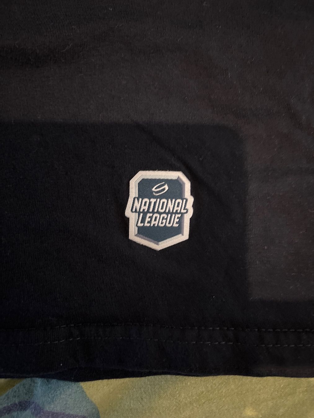 T-shirt: Shirt EVZ im XL – Nuovo (secondo la descrizione) da Amriswil venduto da SCHLOSSGEISTLI 3