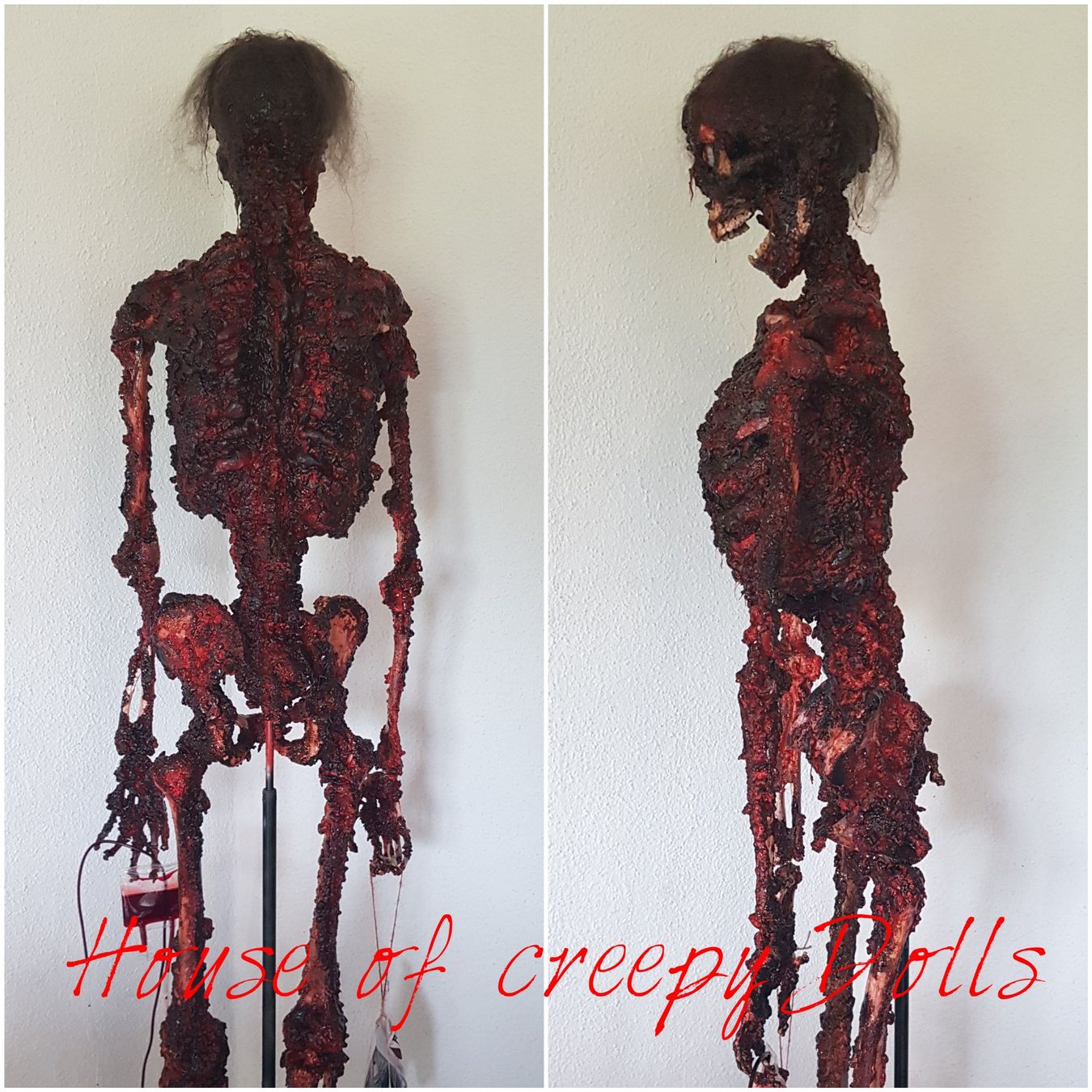 Tutte le decorazioni: HALLOWEEN / HORROR SKELETT FRED – Nuovo e nell'imballaggio originale da Root venduto da LifestyleAccessoires 7
