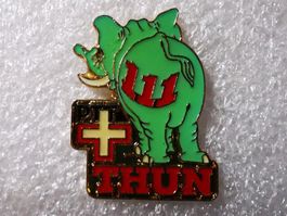 Ansteckpin 27: PTT 111 Thun