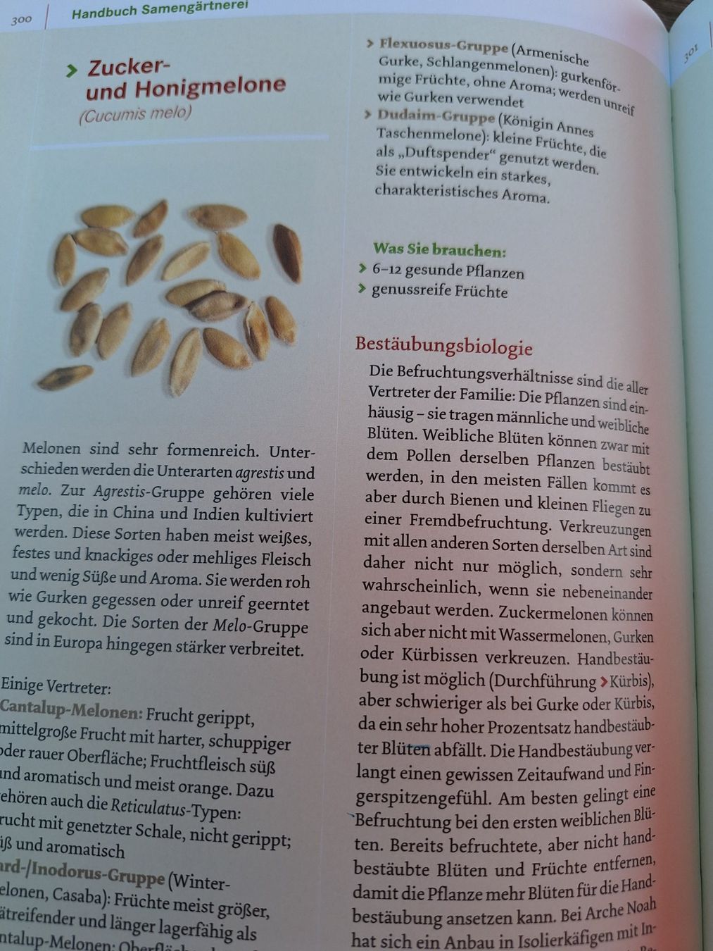 Bücher: Handbuch Samengärtnerei & Bio-Gemüs -  2 Bücher – Gebraucht aus Huttwil von Kunterbuntli 7