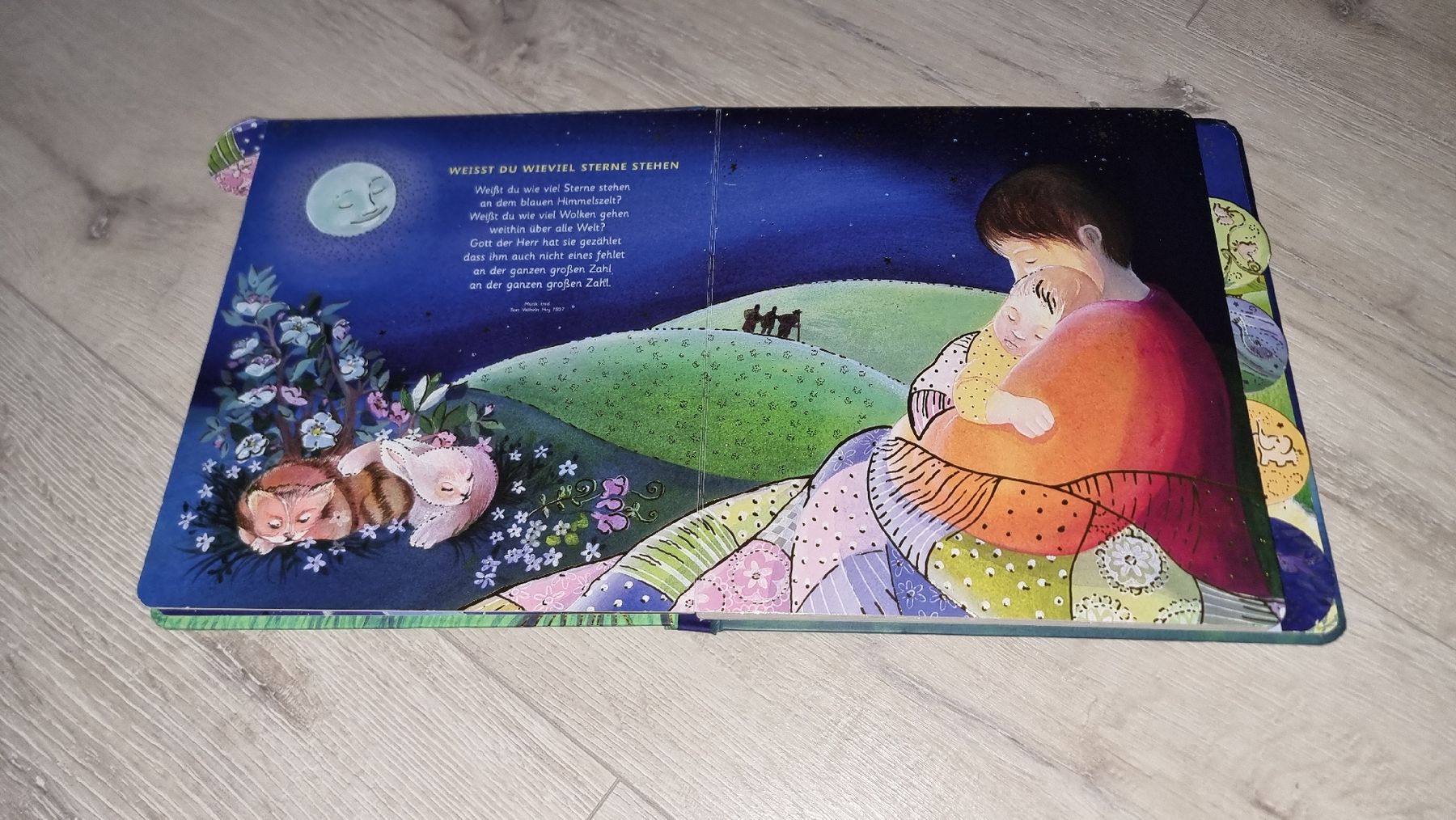 Libri: GoBo "Mini liebste Schlaflieder" Top Zustand  – Usato da Wigoltingen venduto da Zuckerfee84 1