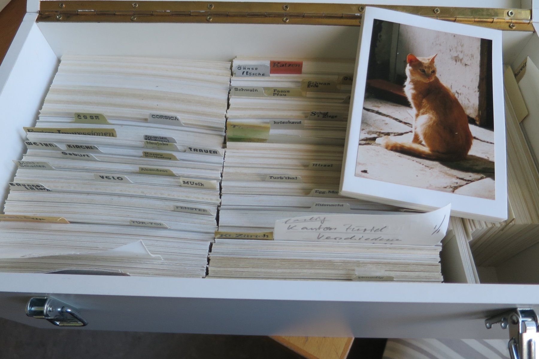 Cartoline postali: ARCHIV ANSICHTSKARTEN VON RUDOLF VISMARA 3000+ – Nuovo (secondo la descrizione) da Wetzikon ZH venduto da Philimpex 7