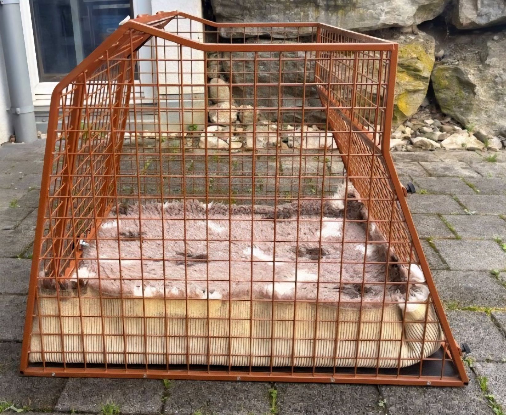 Gabbie, trasporto & Sicurezza: Hundebox (oben offen) – Usato da Vorderthal venduto da Sducati 1