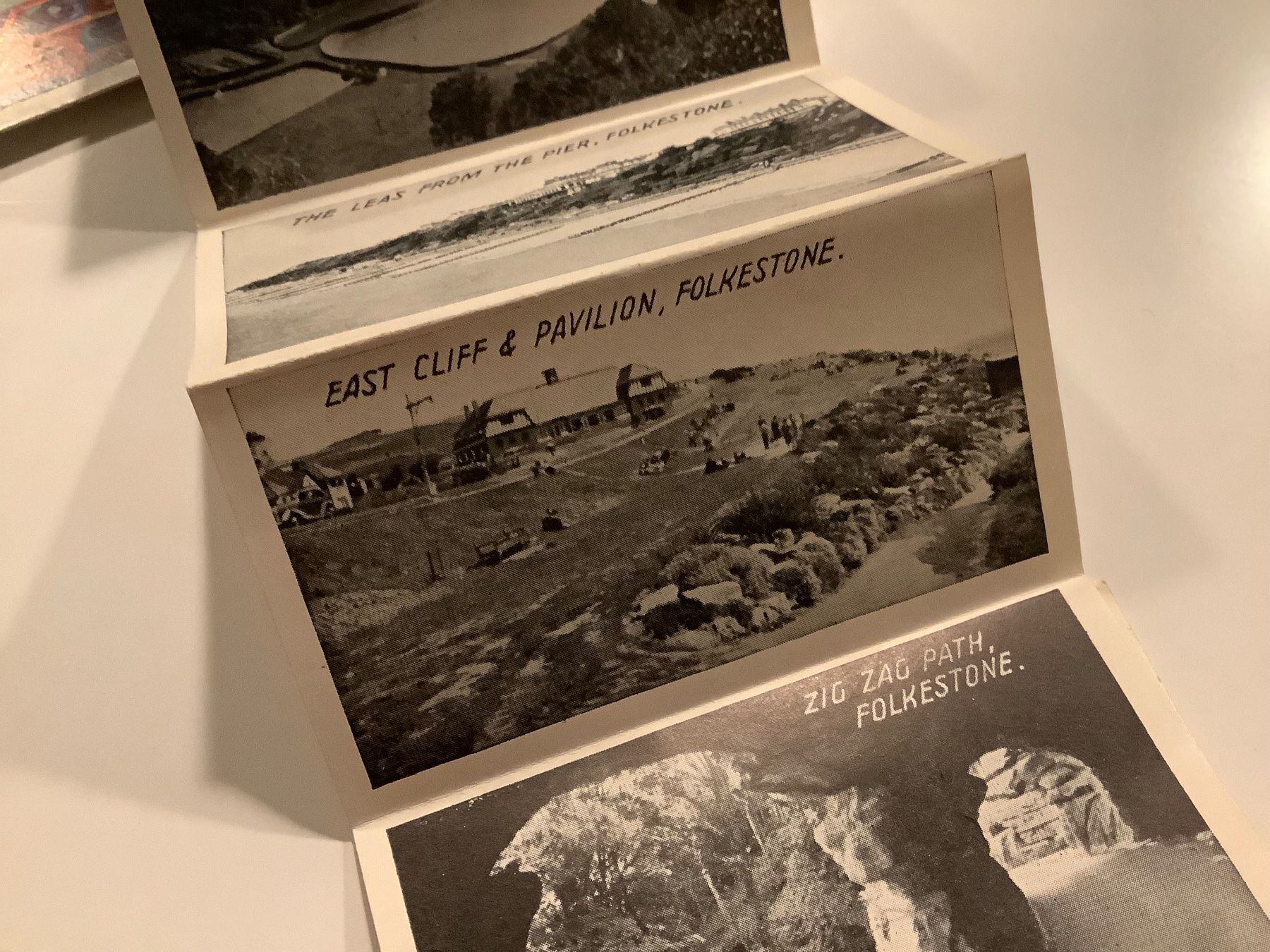 Cartoline postali: Schöne LEPORELLO Ansichtskarte Katzen Folkstone – Usato da Lufingen venduto da Rac0 1
