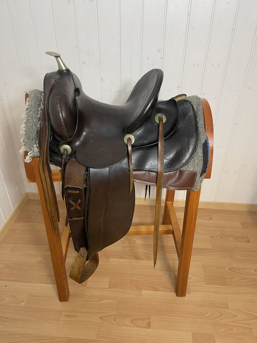 Sattel & Sattelzubehör: Sattel – Gebraucht aus Bévilard von Vince3 3