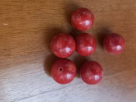 6Stk. Korallen Steine, geschliffen und stabilisiert.