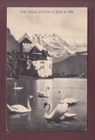 Château de CHILLON - Cygnes - Dents du Midi