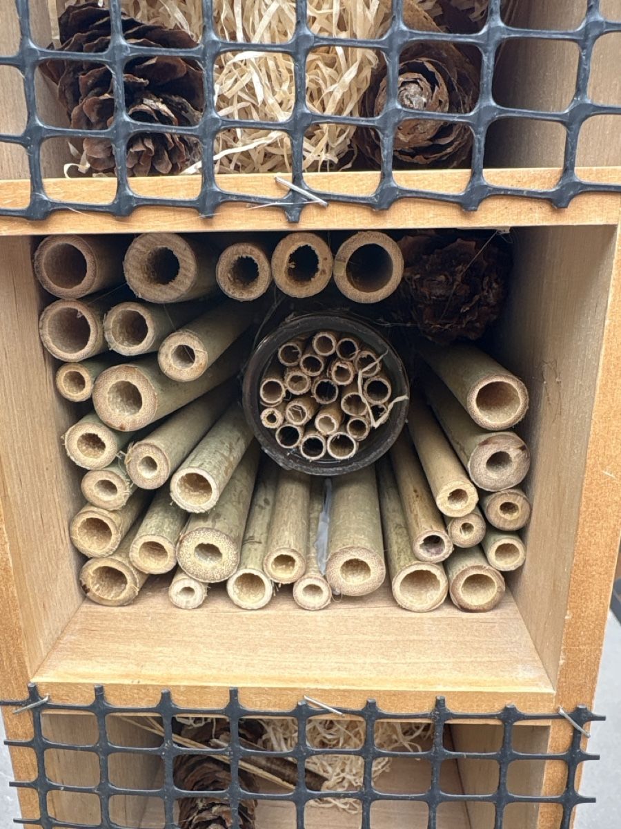 Alveari: Insektenhotel XXL – Nuovo (secondo la descrizione) da Knonau venduto da Kaktus122 4