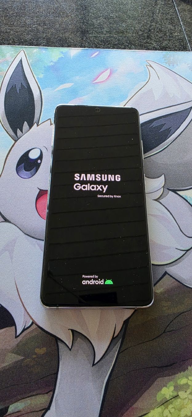 Samsung Telefoni cellulari / Smartphones: Samsung Galaxy S21 Ultra Phantom Silver – Usato da Aarau Rohr venduto da Shad 1