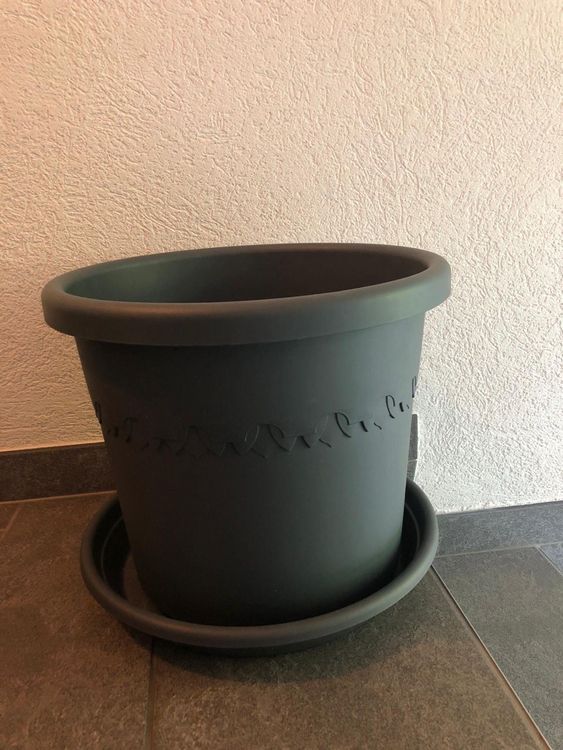 Elho Blumentopf mit Rollen Kaufen auf Ricardo