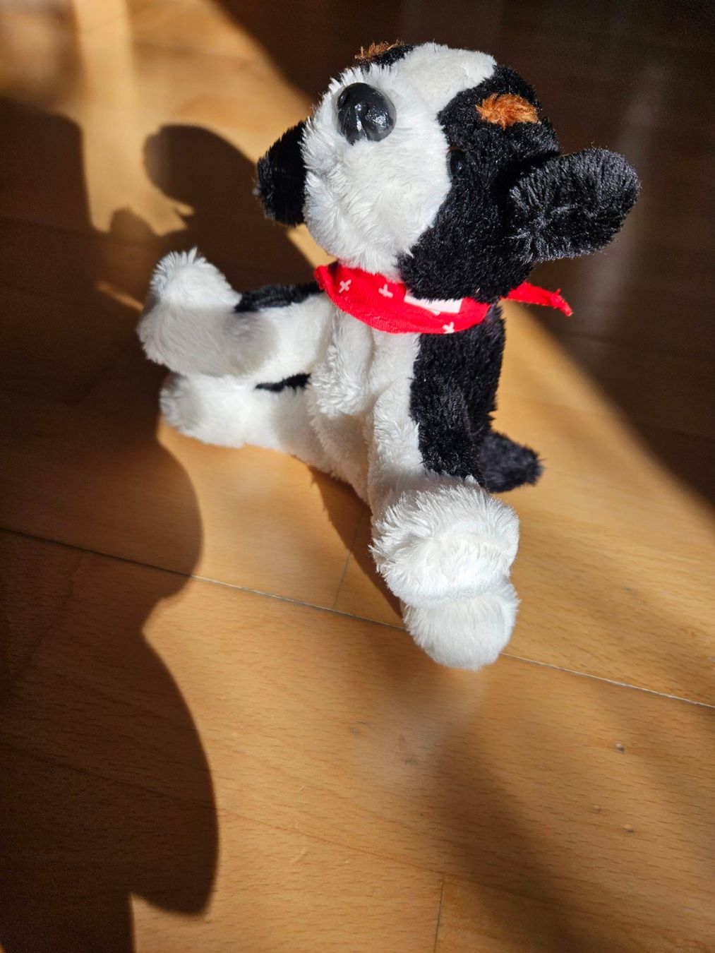 Spielzeuge: Stofftier, Berner Sennenhund ca. 14 cm – Gebraucht aus Wettingen von Sk8ertomda 1