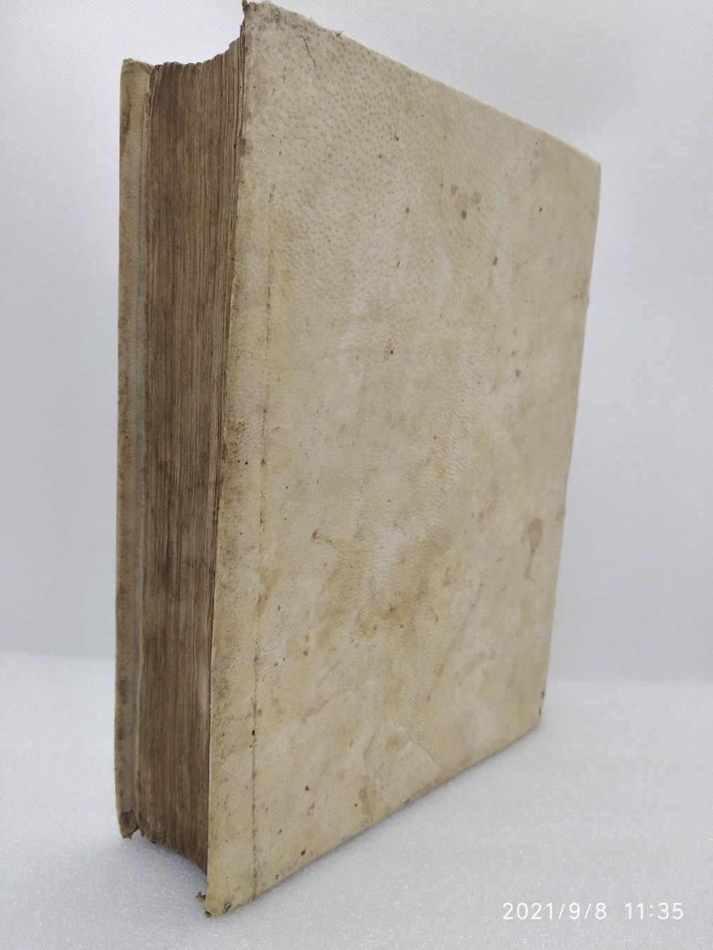 Libri: JANSENIUS - COMMENTARII - 1569 – Usato da Goldach venduto da Gaip 2