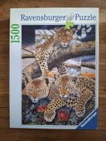 Ravensburger Puzzle 1500 Teile Leoparden