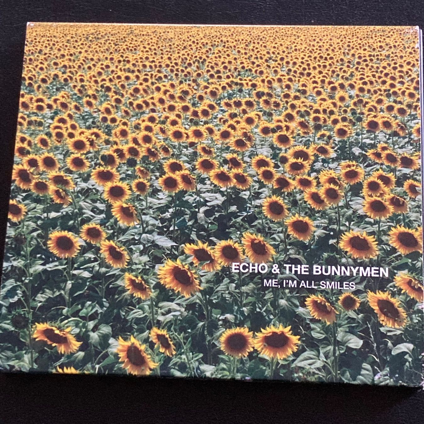 CD: Echo & The Bunnymen - Me, I'm All Smiles – Usato da Bern venduto da Ntsamina