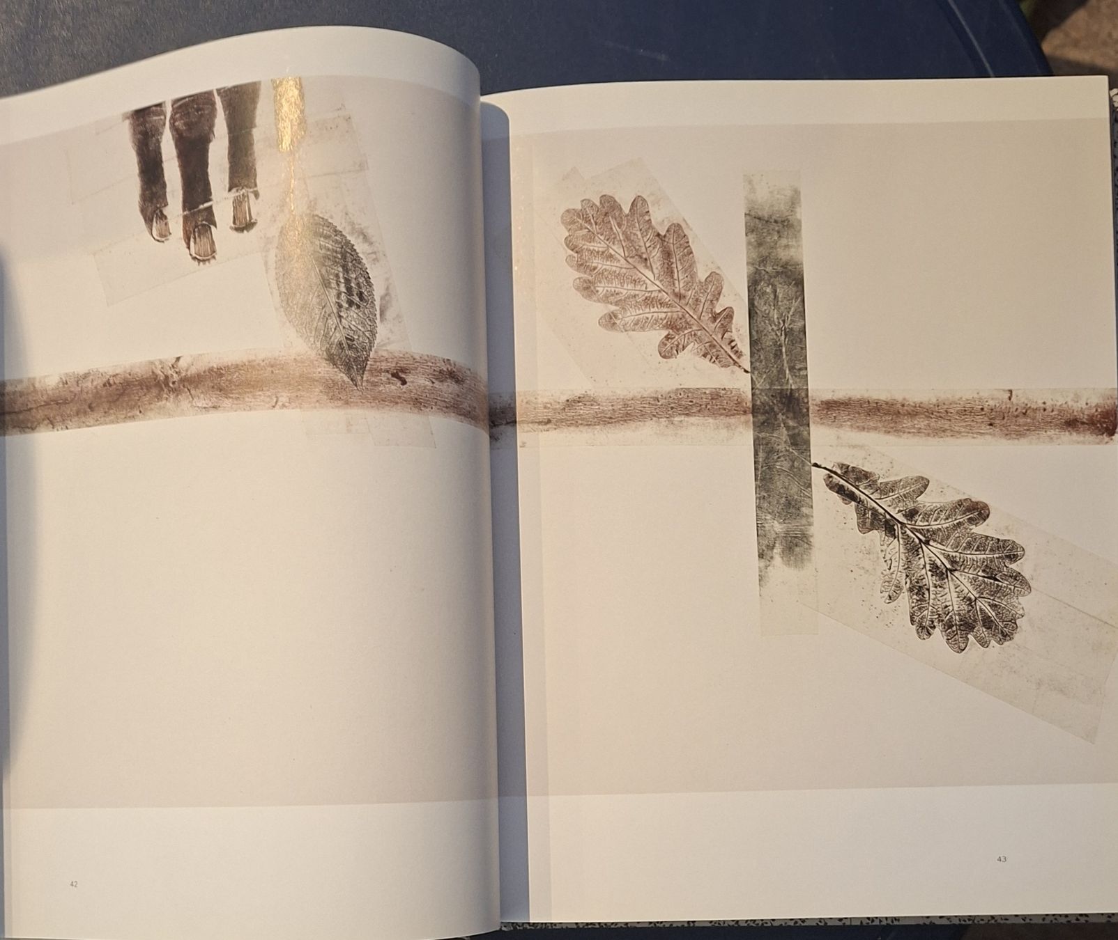 Bücher: Giuseppe Penone Buch Actes Sud Musee de Grenoble Buch – Neu (gemäss Beschreibung) aus Niederglatt ZH von Siegfried67 5