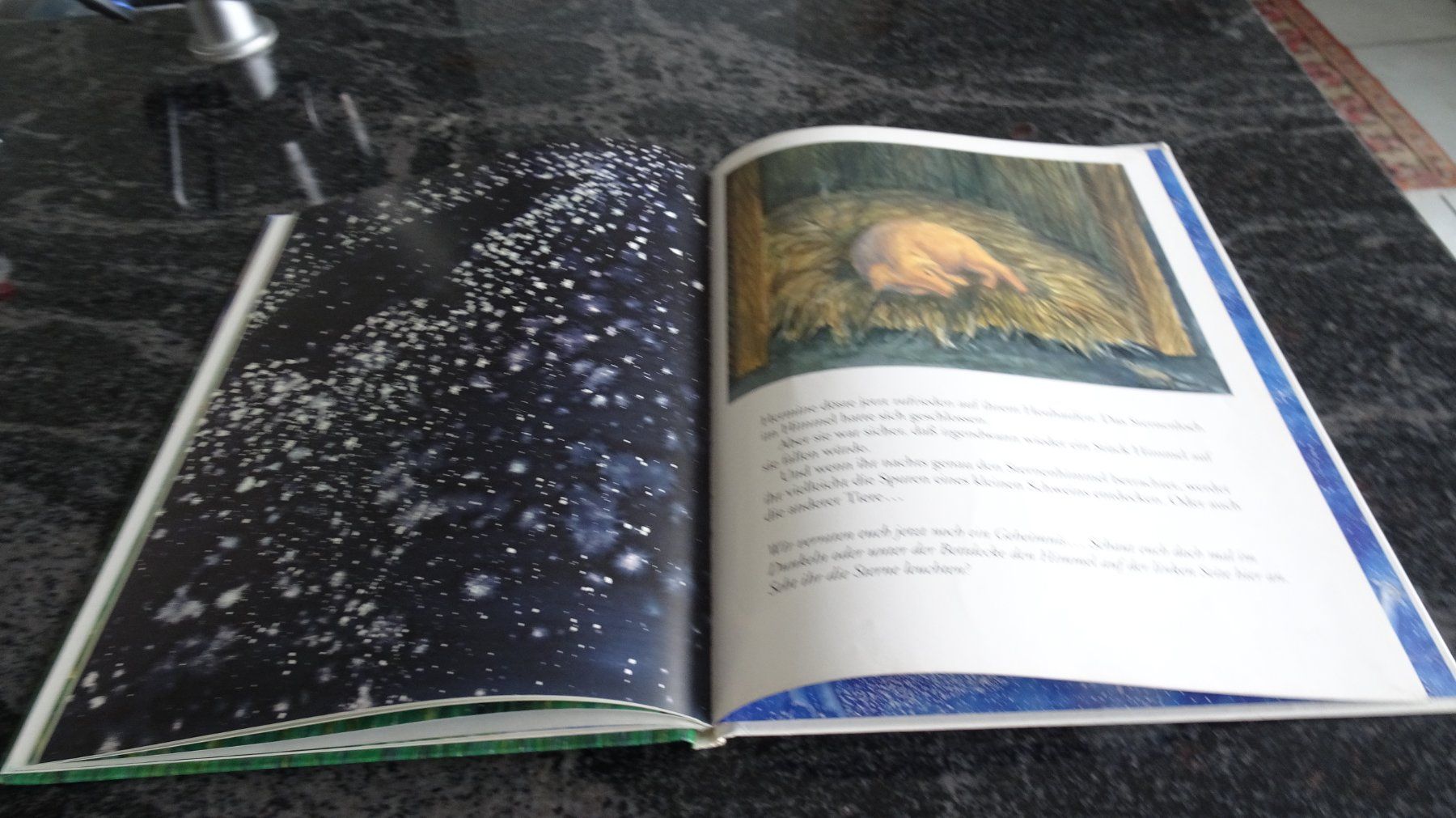Bücher: HERMINE das Schwein   Bilderbuch – Gebraucht aus Zürich von Roulet 9