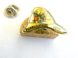 • SDIS pompiers Forel-Lavaux 1993 incendie Vaud   pin M2.43