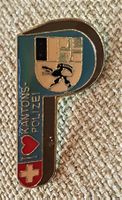 E239 - Pin I Like Kantons Polizei GB CH