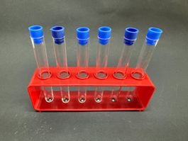 Einfaches Reagenzglasgestell incl. 6 Gläser aus Kunststoff