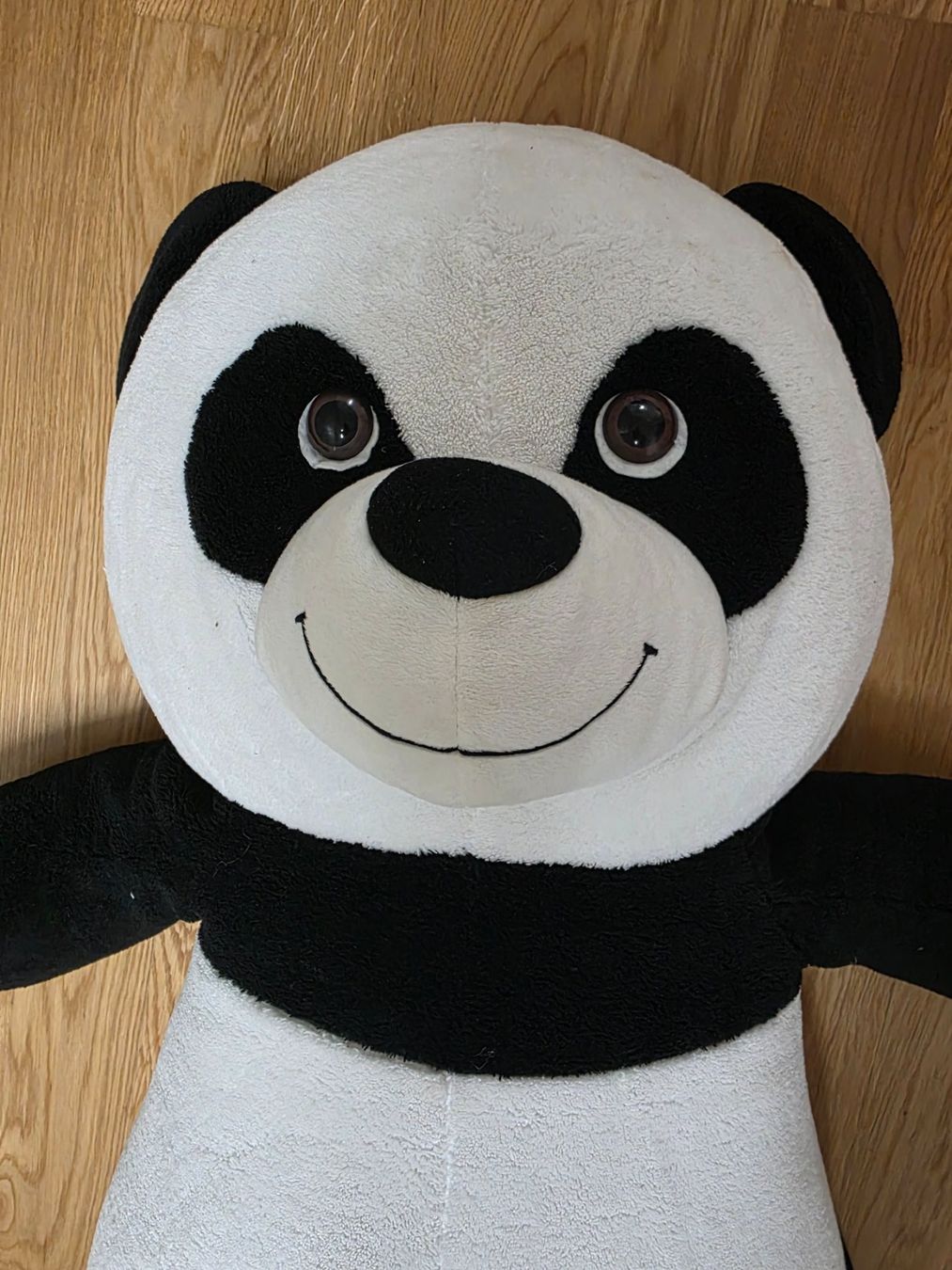 Giocattoli: Plüschtier Panda – Usato da Schaffhausen venduto da ang_bt75 1