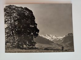 Originale Vintage Foto von Albert Steiner, St. Moritz.