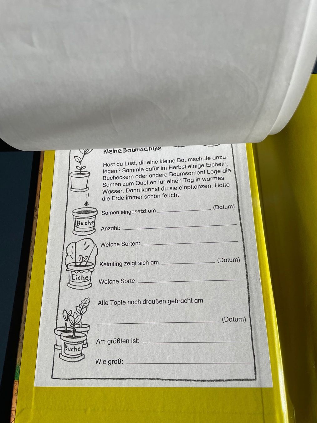 Bücher: Komm, entdecke den Wald! von Barbara Wernsing-Bottmeyer – Gebraucht aus Winterthur von calbecht 3